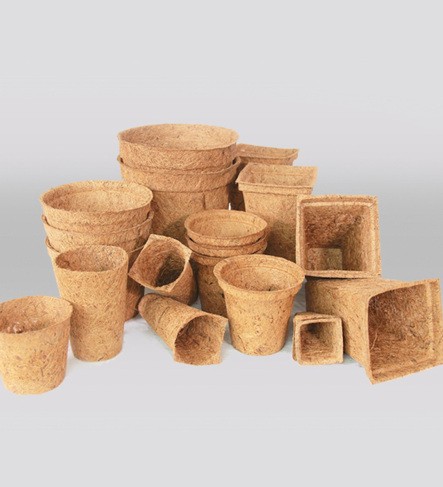 Coir Pots