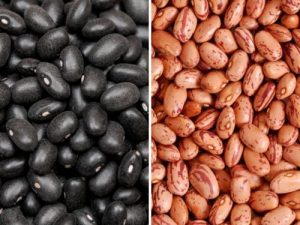 Beans