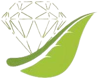 Custom Logo