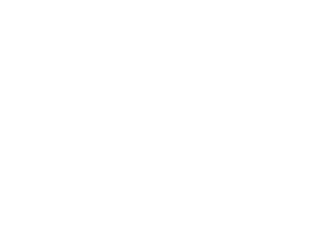 Custom Logo
