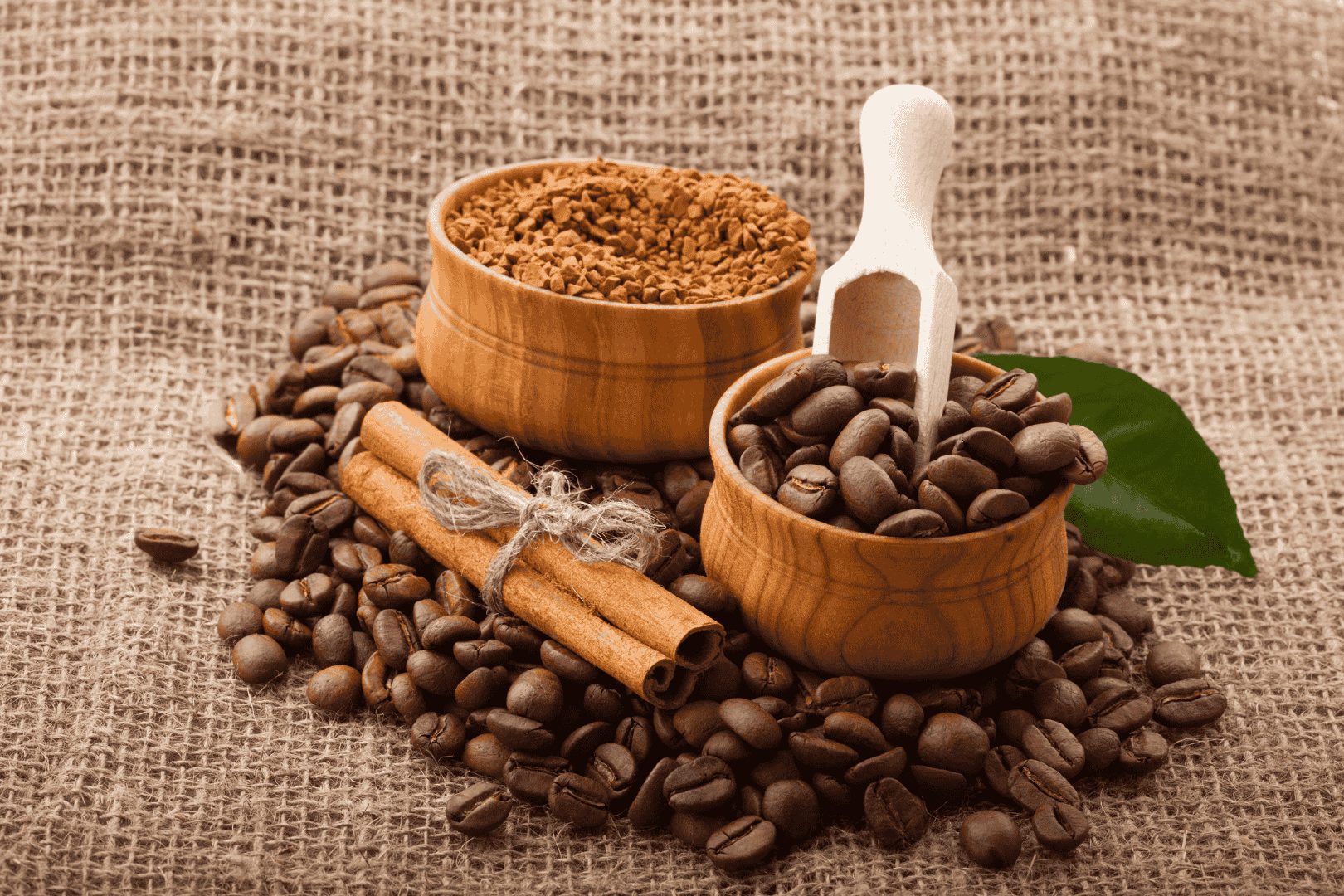 Coffee Beans about