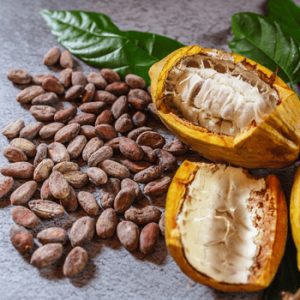 Cocoa Products