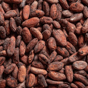 Cocoa products beans