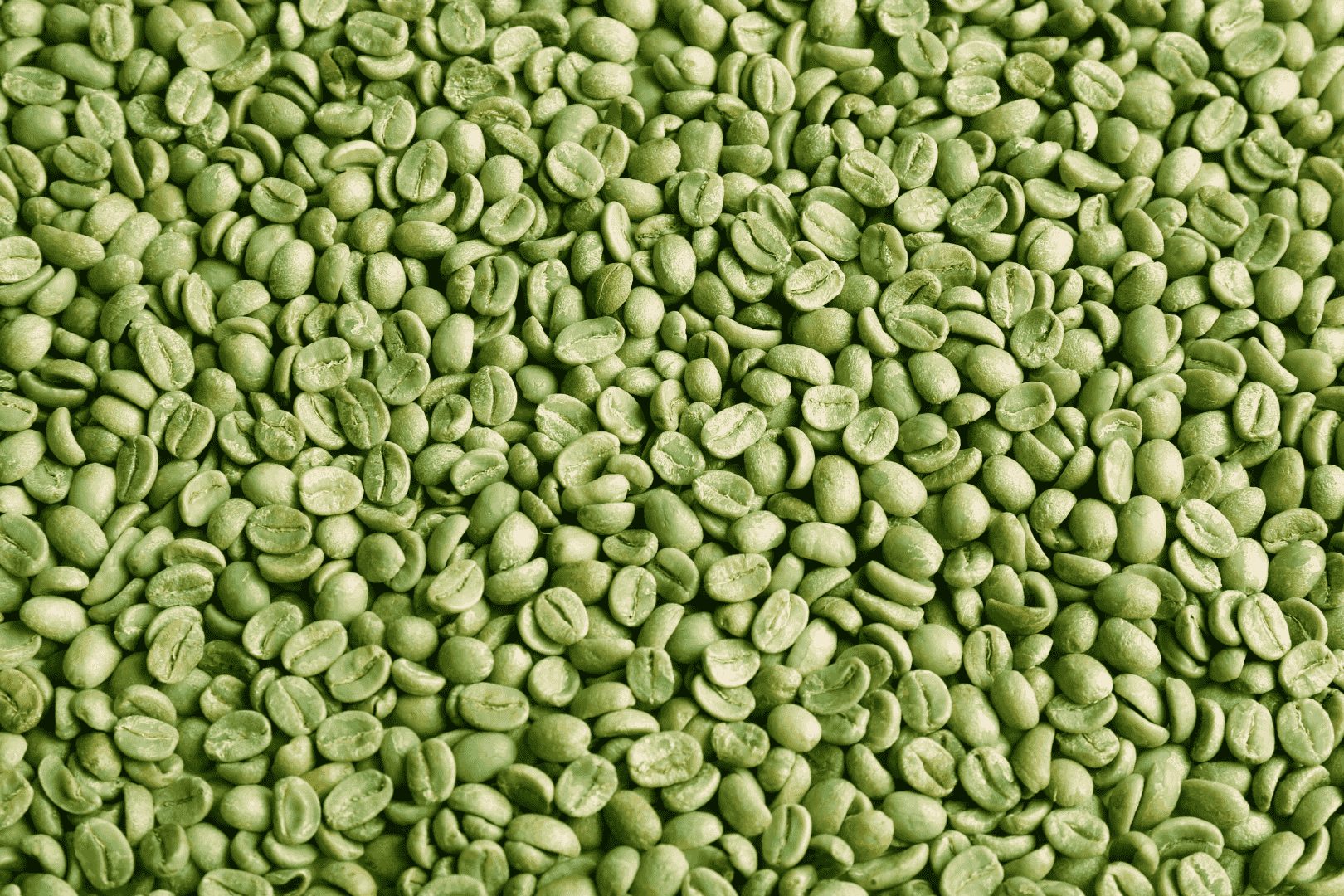 ARABICA GREEN COFFEE