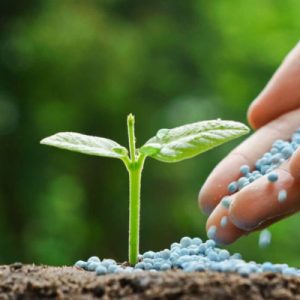 Fertilizer Products