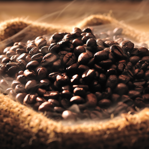 Robusta Coffee