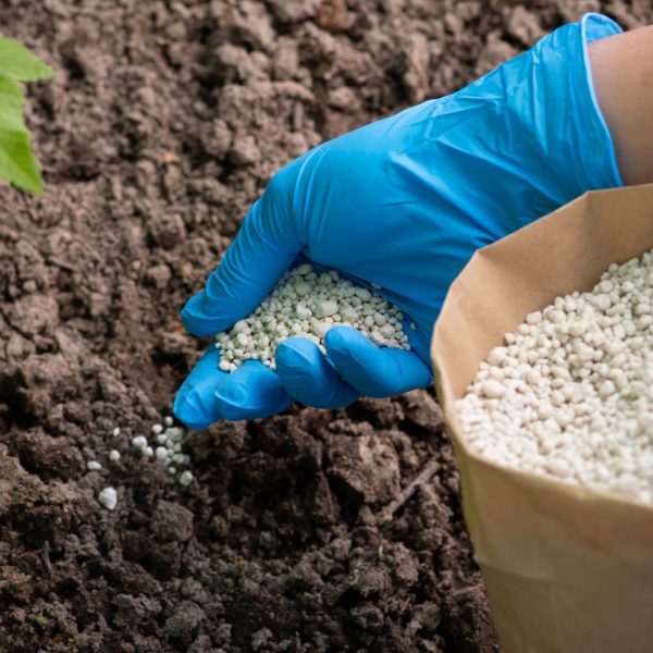 Fertilizers