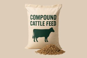 Compound Cattle Feed
