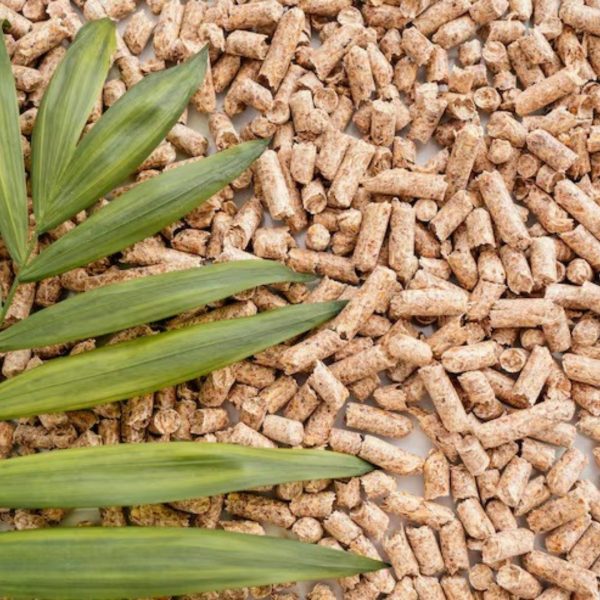 Protein-Rich Supplements