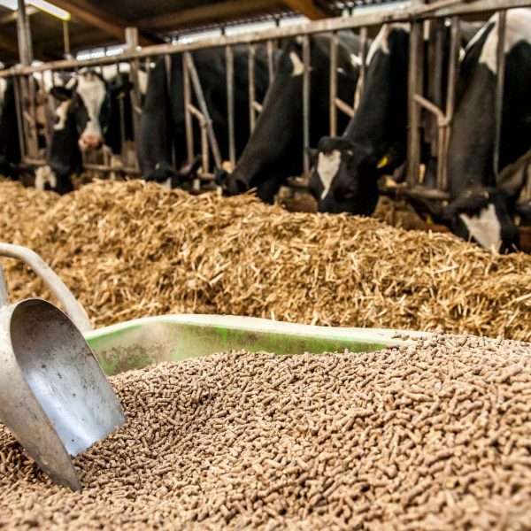 Vitamin-Enriched Mixes