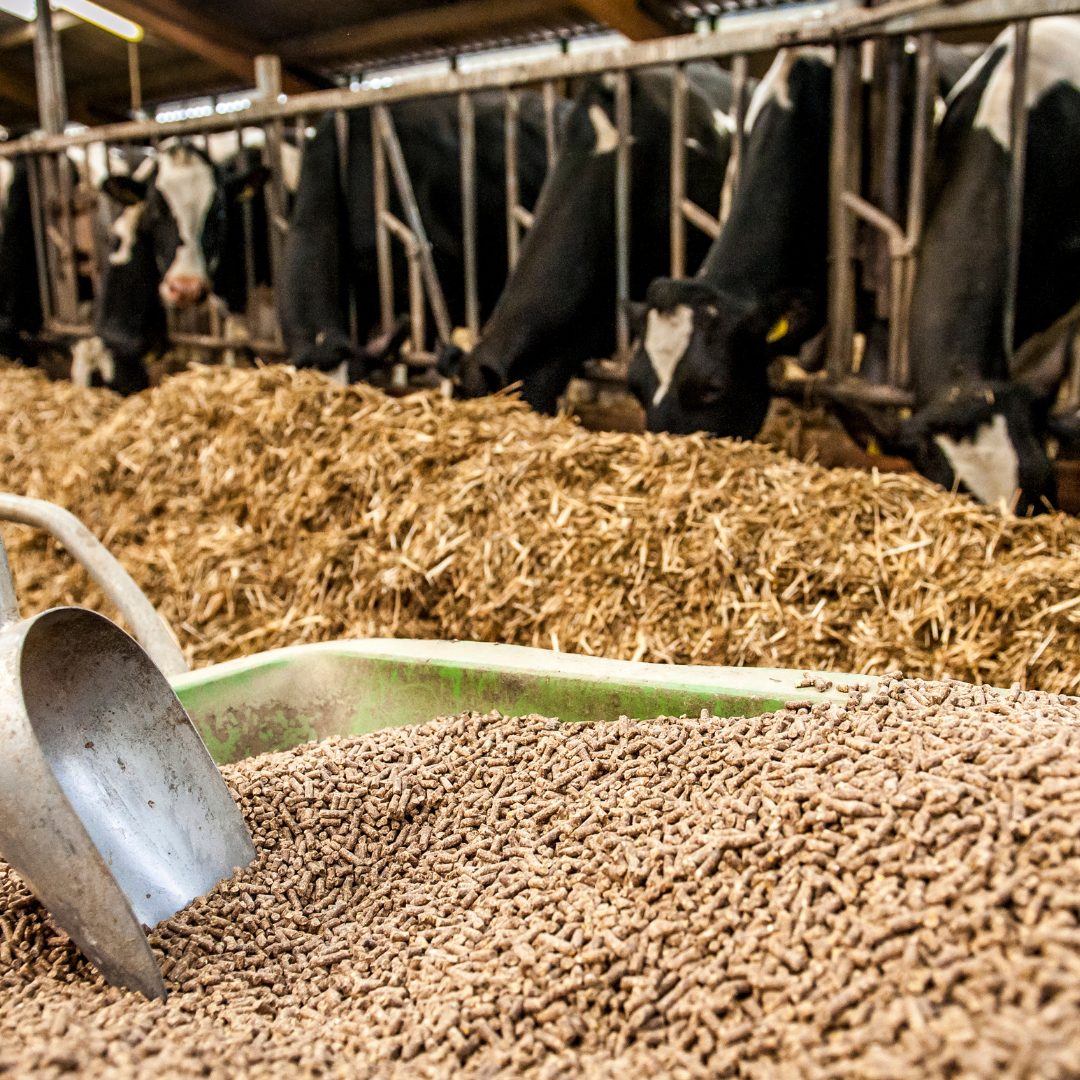 Vitamin-Enriched Mixes