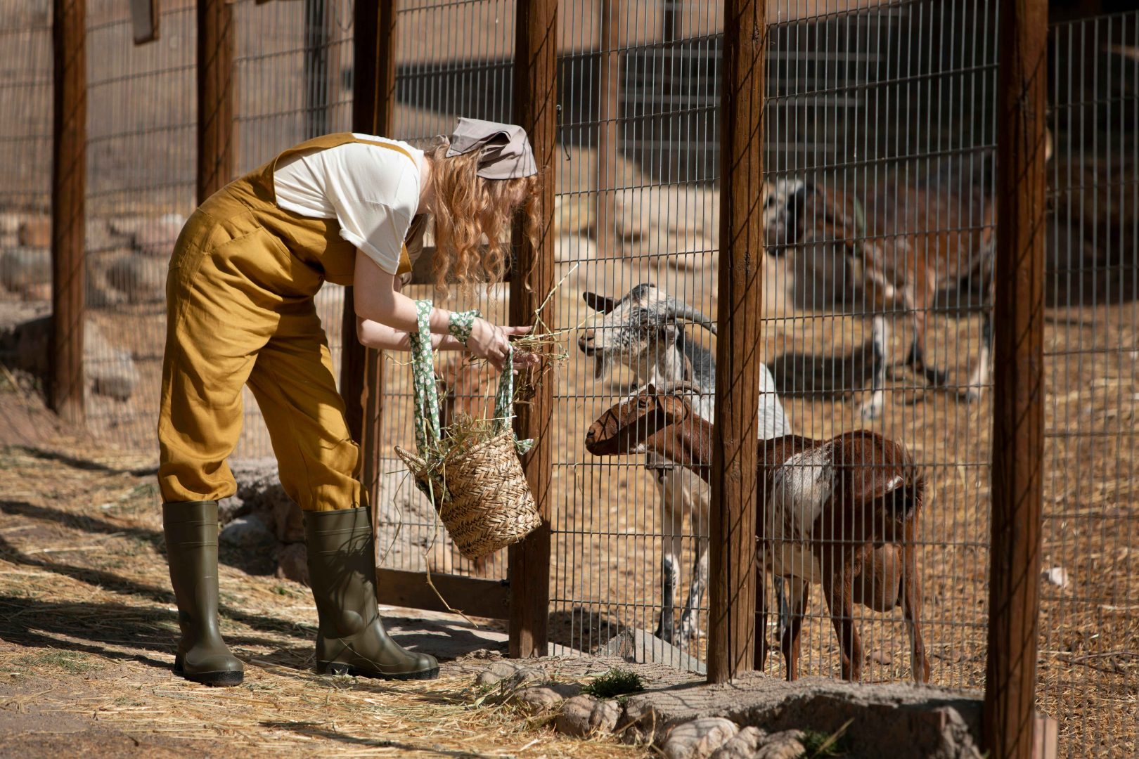 full-shot-woman-feeding-goats (1)