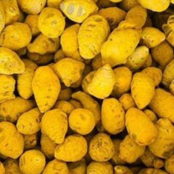 Untitled design - 2025-10-03T123145.799