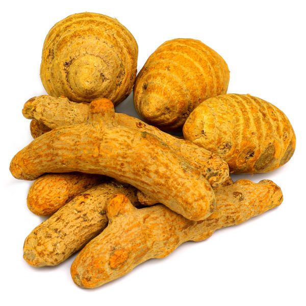 Untitled design - 2025-10-03T123825.257