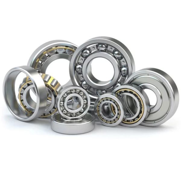 Untitled design - 2025-10-24T132210.541