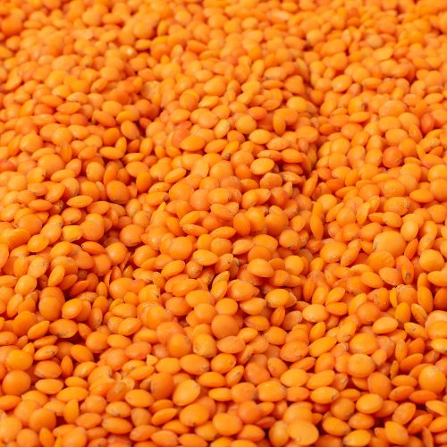 Untitled design - 2025-10-01T122317.201