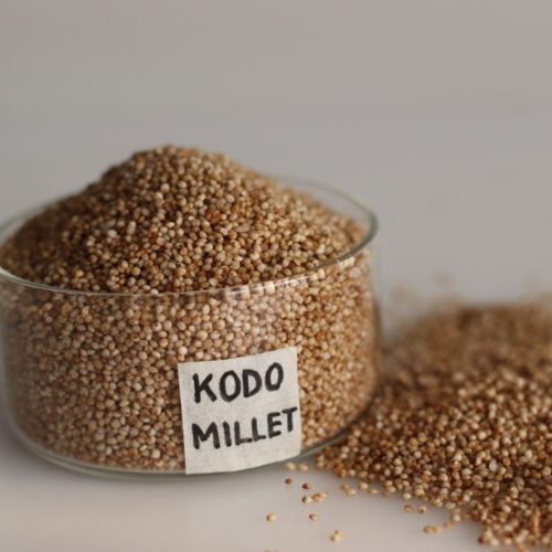 Untitled design - 2025-10-01T125020.274