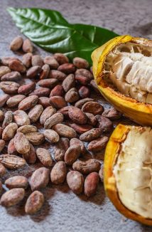 Untitled design - 2025-10-22T175149.979