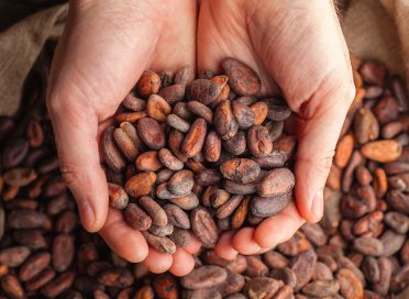 Untitled design - 2025-10-22T180907.421