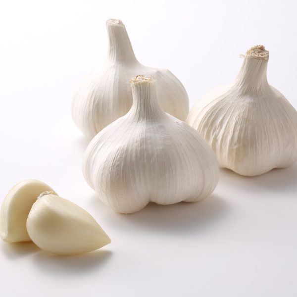 Untitled design - 2025-10-24T095230.303