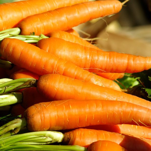 Untitled design - 2025-10-24T095506.285