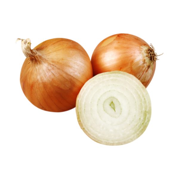 Untitled design - 2025-10-24T100353.539