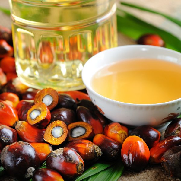 Untitled design - 2025-12-15T103200.218