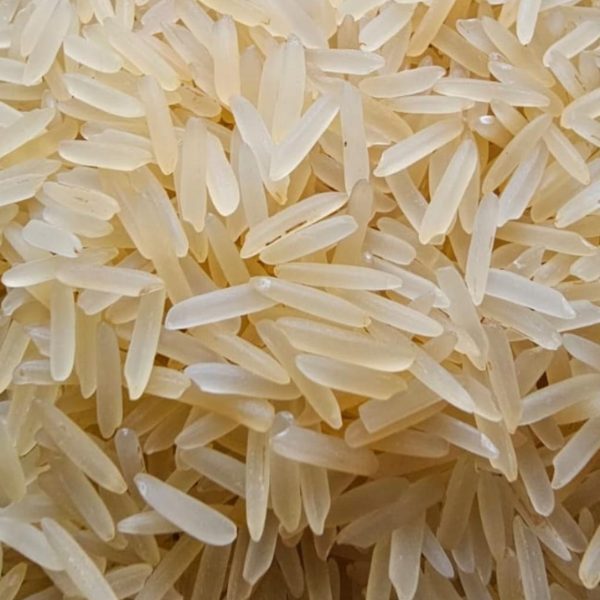 Untitled design - 2025-12-19T132121.385