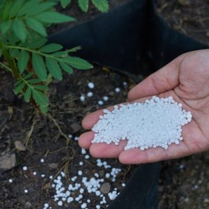 Chemicals & Fertilizers