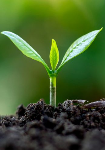 Untitled design - 2026-01-15T122538.418