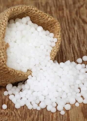 Untitled design - 2026-01-16T160944.930