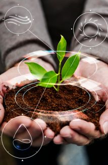 Untitled design - 2026-01-16T161320.970