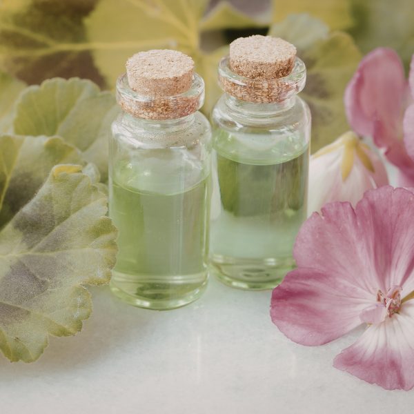 Untitled design - 2026-01-21T192049.236