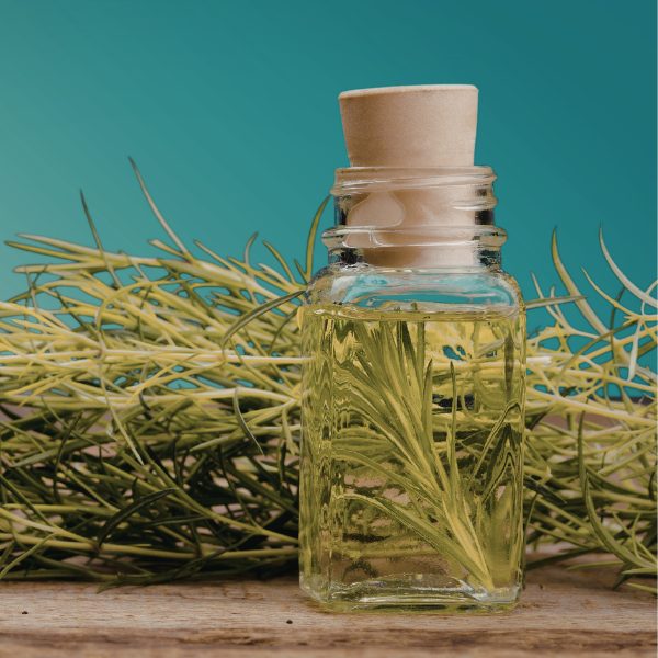 Untitled design - 2026-01-21T193054.109