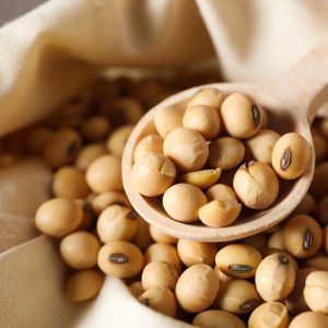 Soyabean