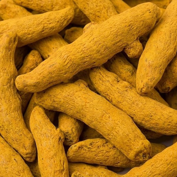 Surya Agro Impex (22)