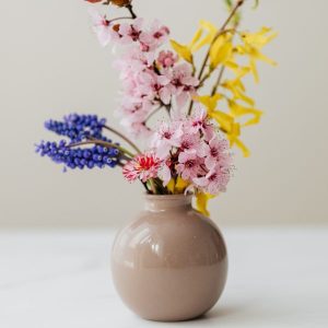 Home Décor & Lifestyle