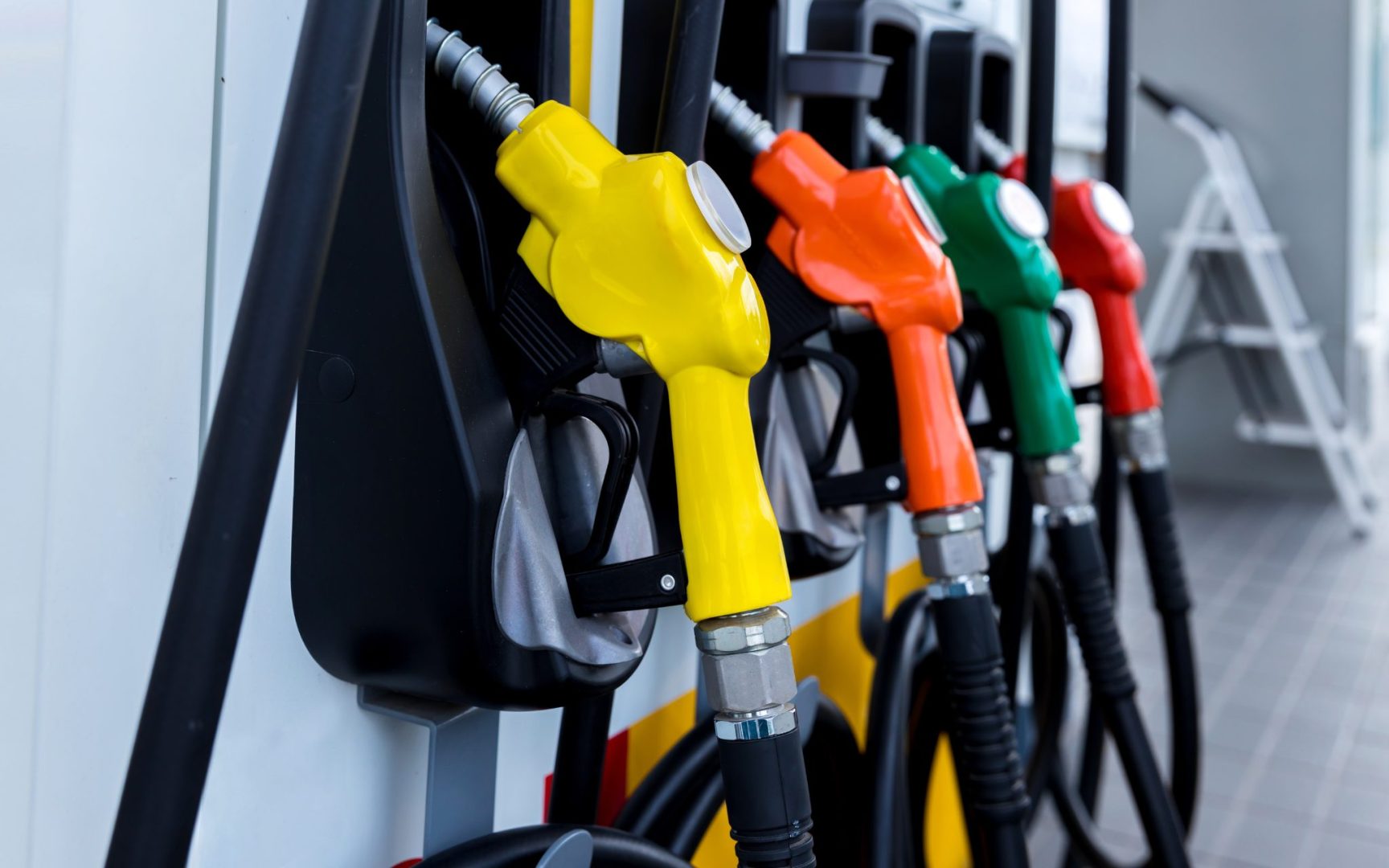 Untitled design - 2026-01-29T112346.560