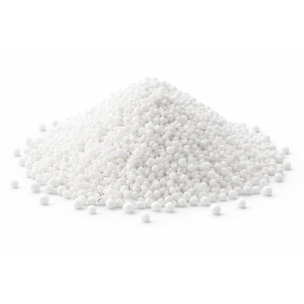 Ichiban For Export (9)