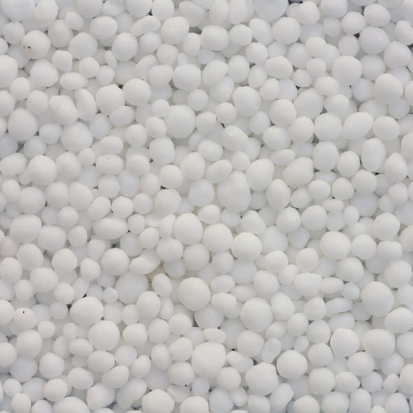 Ichiban For Export (19)