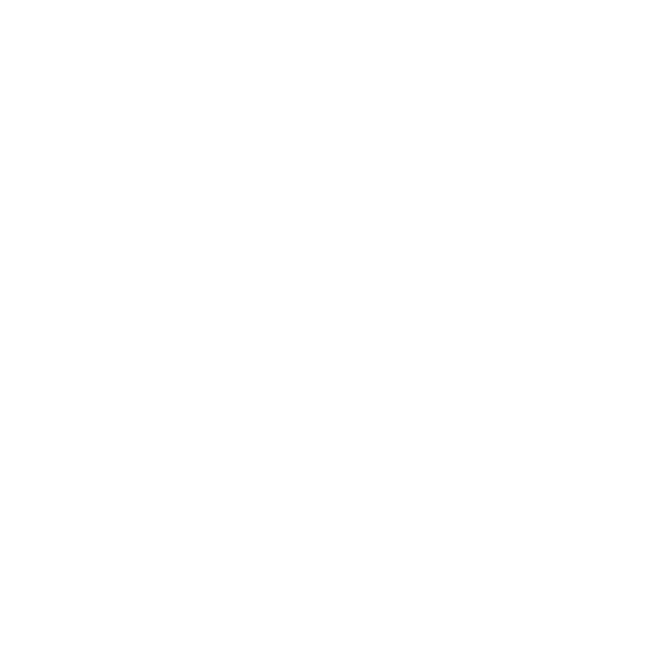 Ichiban For Export (28)