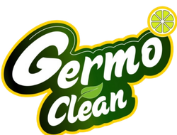 Custom Logo