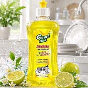 Dish Wash