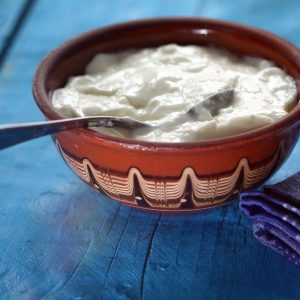 Fermented Dairy Products