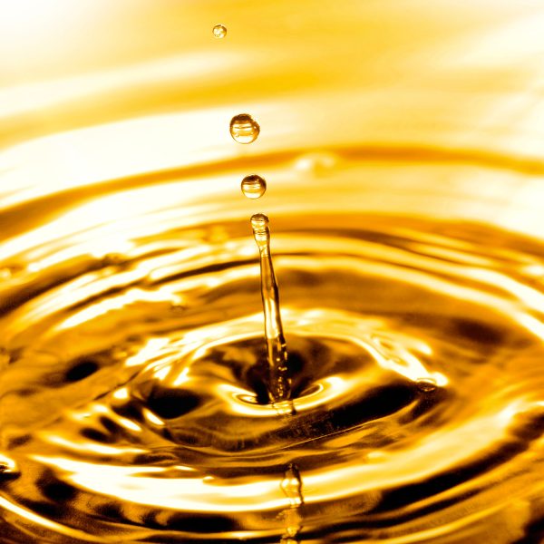 Q Energy Brokerage LLC (11)