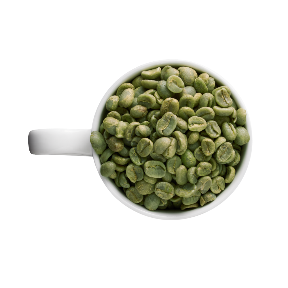 Untitled design - 2026-03-24T163346.208