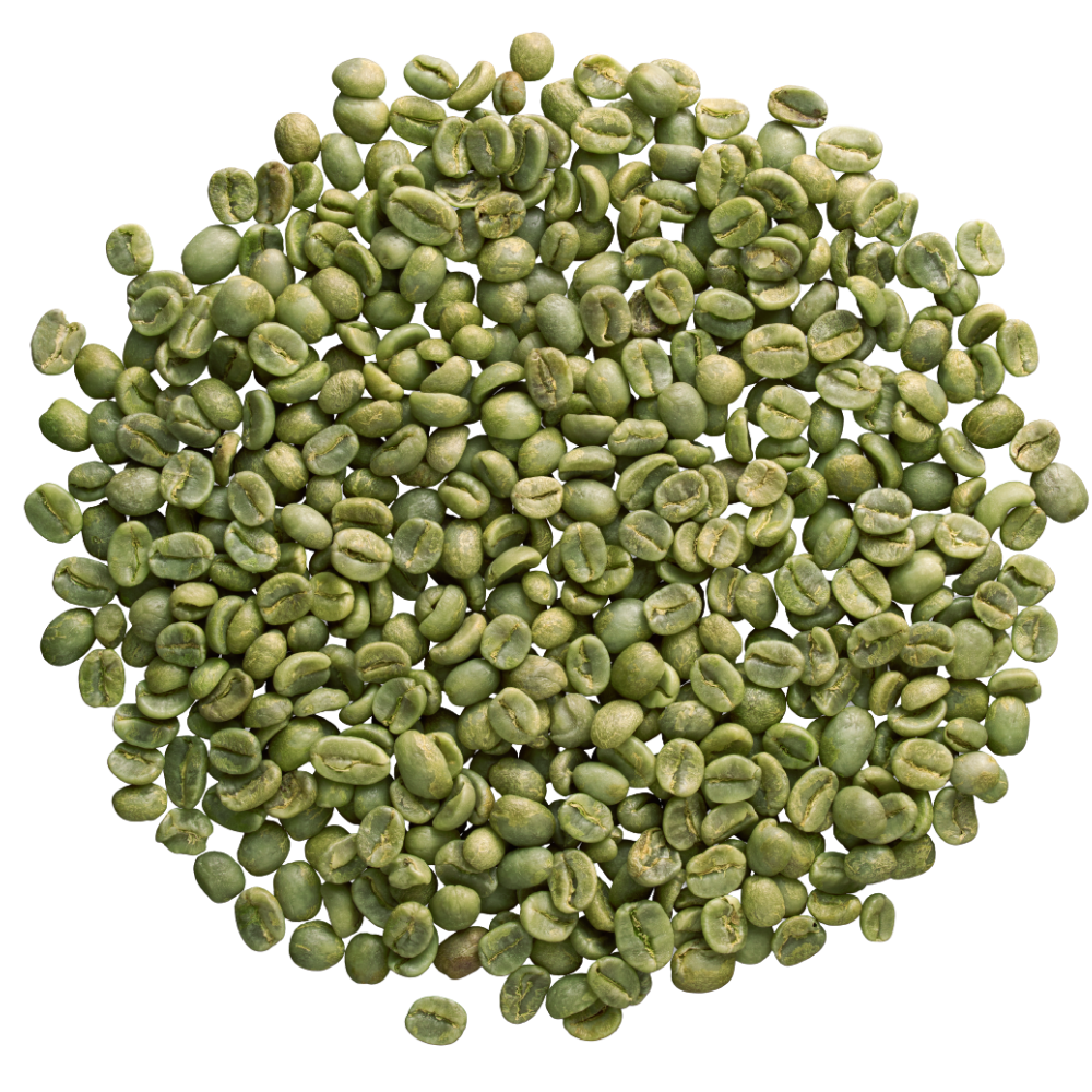 Untitled design - 2026-03-24T164205.011