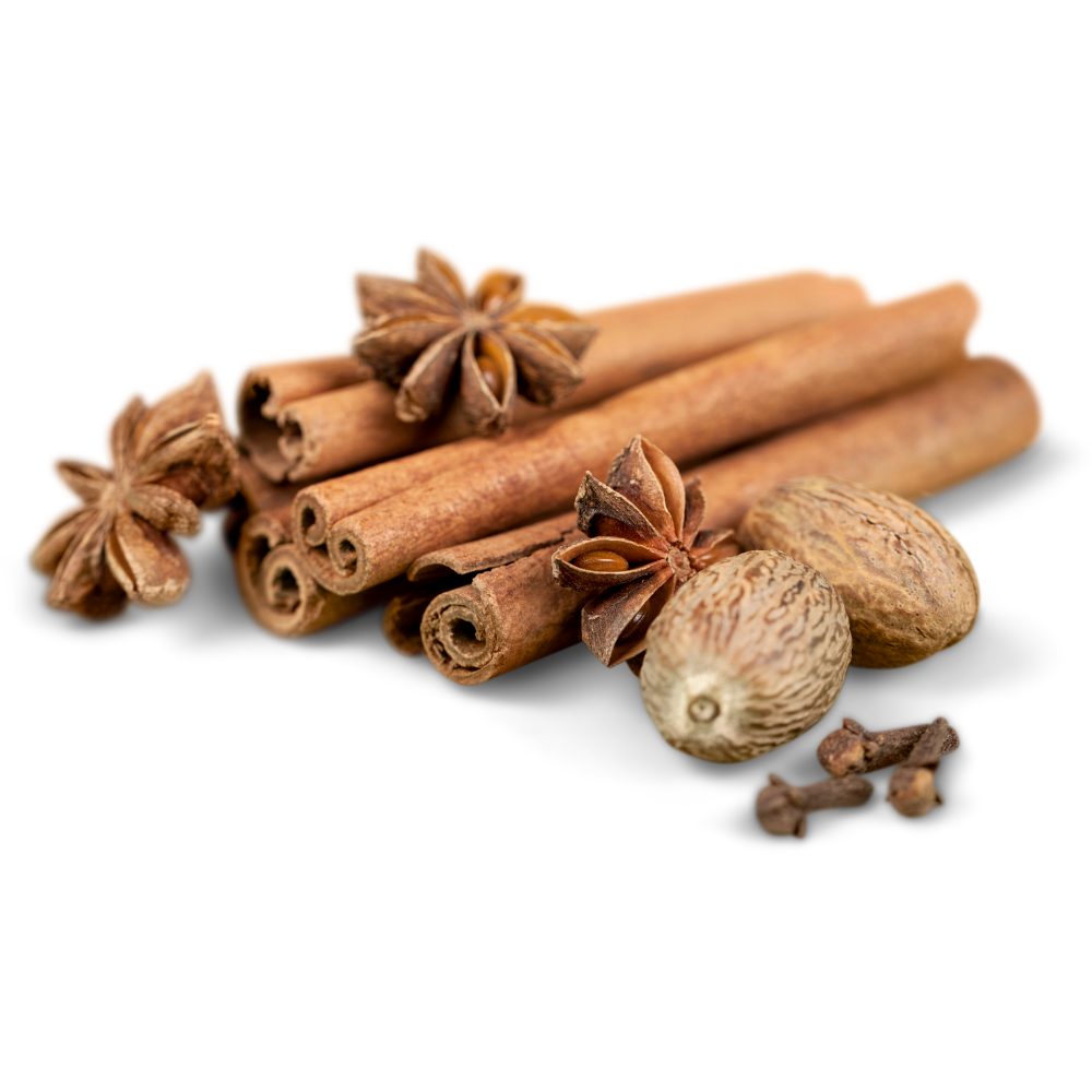 Untitled design - 2026-03-24T164548.177