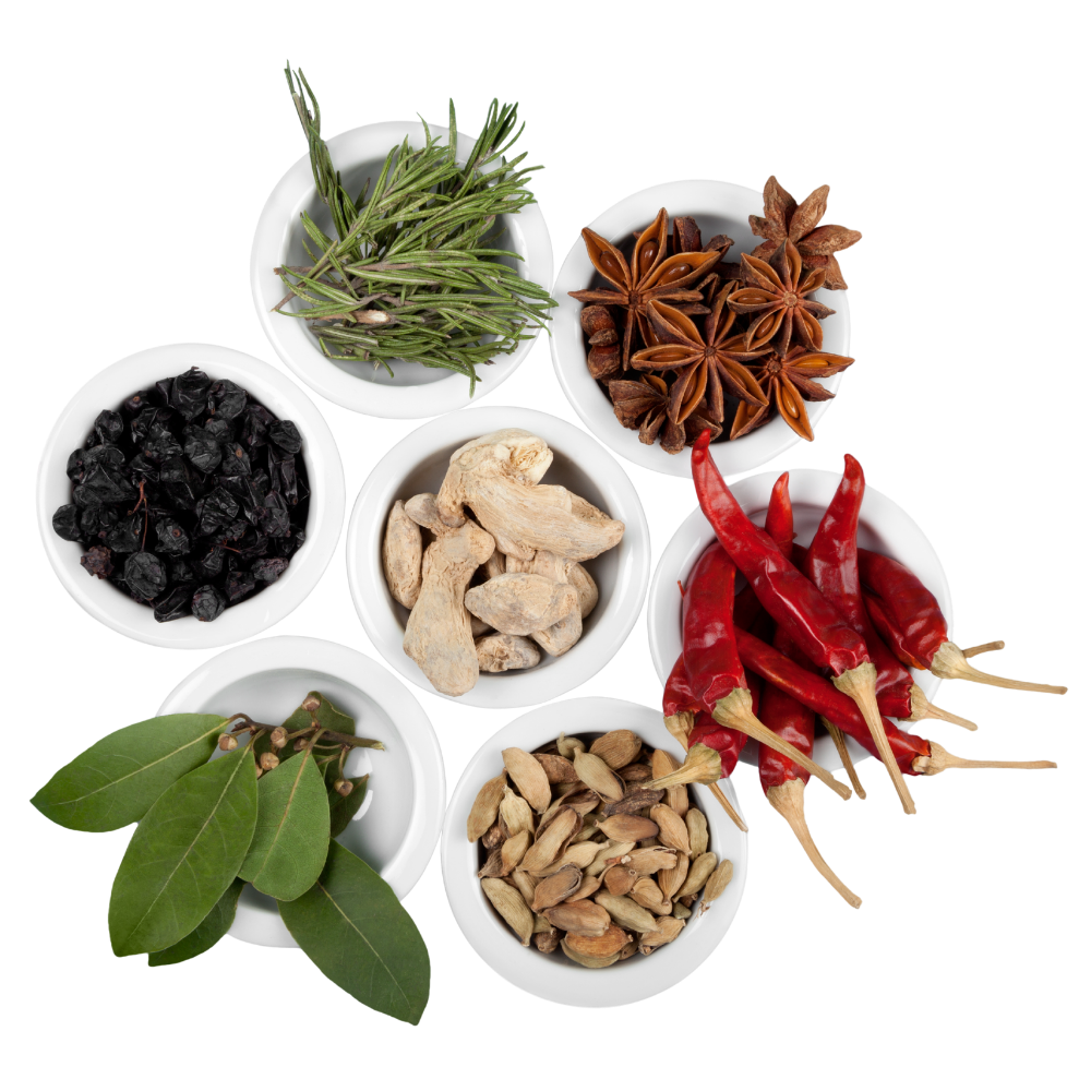 Untitled-design-2026-03-24T164824.636