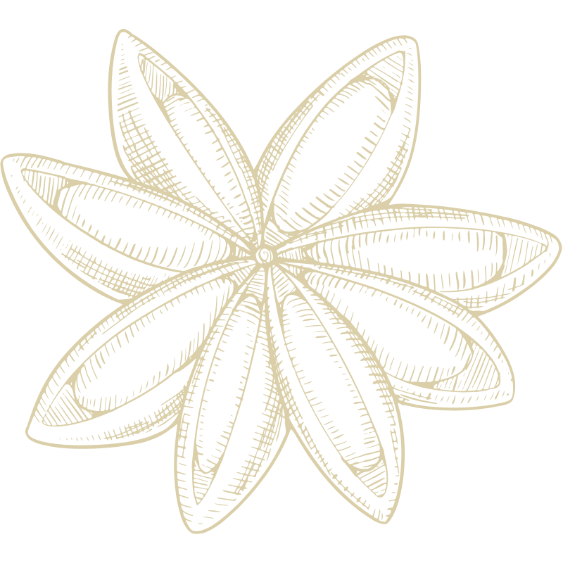 Untitled design - 2026-03-25T105053.686